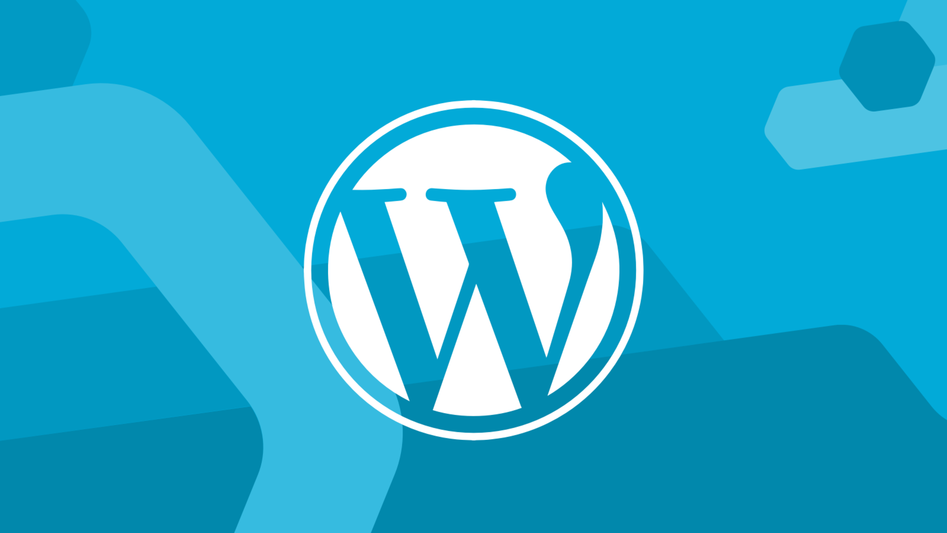 The WordPress Phenomenon: How One Platform Conquered the Internet